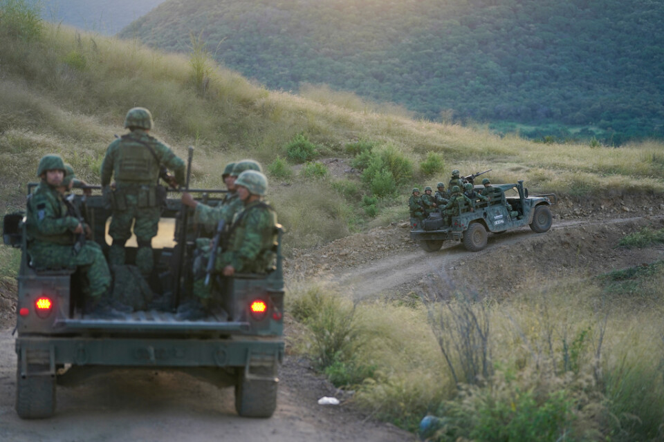 Mexikanska soldater utsattes på fredagen för ett bakhåll i delstaten Guerrero. Arkivbild.