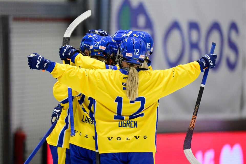 Sverige tog en ny seger i bandy-VM efter att ha besegrat Finland med 6–0. Arkivbild.