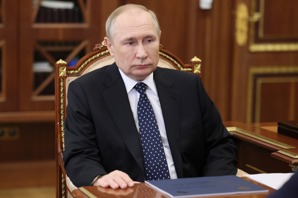 Rysslands president Vladimir Putin uppmanade till eldupphör över den ryskortodoxa julhelgen.