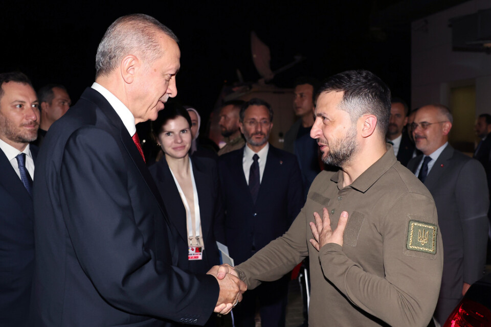 Turkiets president Recep Tayyip Erdogan och Ukrainas president vid mötet i Istanbul.