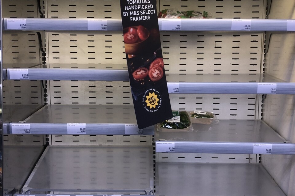 Tomma hyllor. Det råder stor brist på tomater i Storbritannien.