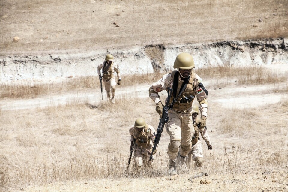 Militärer i Burkina Faso under en övning i februari. Arkivbild.