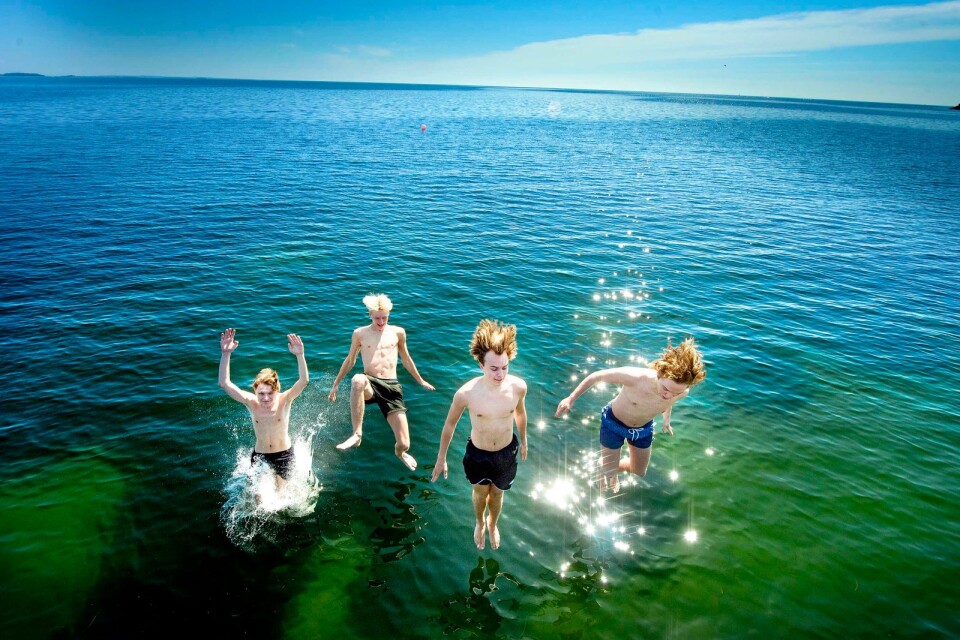 Kompisarna Måns Svensson, Holger Mohager, Gabriel Henningsson och Emil Karlsson-Lillienberg dyker i från bryggan till det 20-gradiga vattnet.