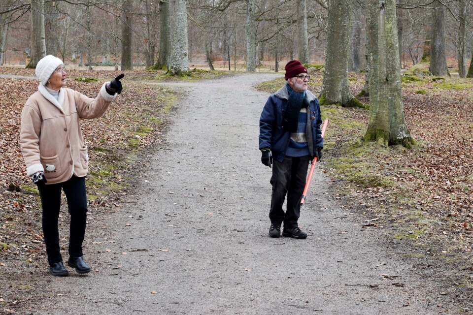 Agneta Östersten och Nisse Eriksson spanar efter både fåglar och fågelholkar i Engelska parken.