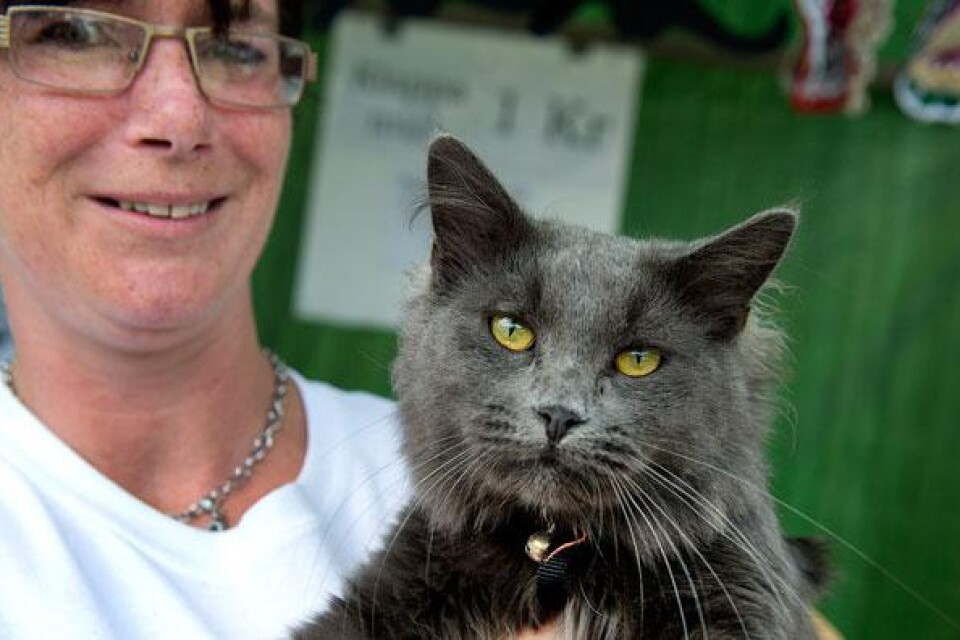 Monica Jönsson vid Kattkommando Syd visar stolt upp katten Smurfen. Smurfen låg i en korg och besökare fick klappa honom mot betalning av en krona per person. I fredags drog kattklappningen in 2 000 kronor.