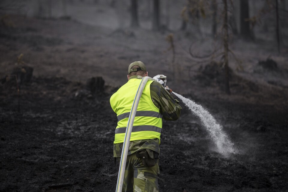 Under extremtorkan 2018 härjade skogsbränder i stora delar av Sverige. Arkivbild.