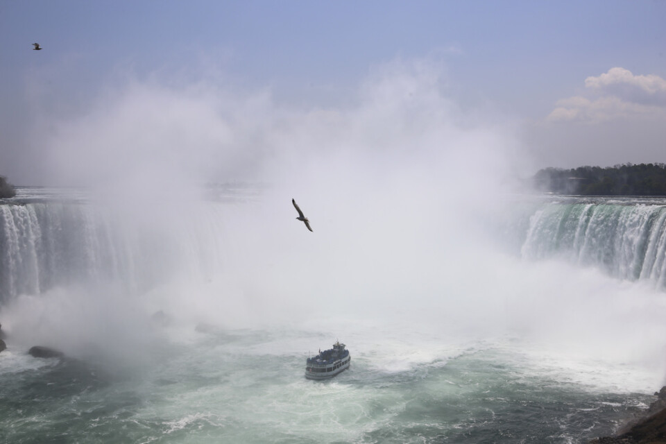 En "man i kris" överlevde en färd utför Niagarafallen. Arkivbild.