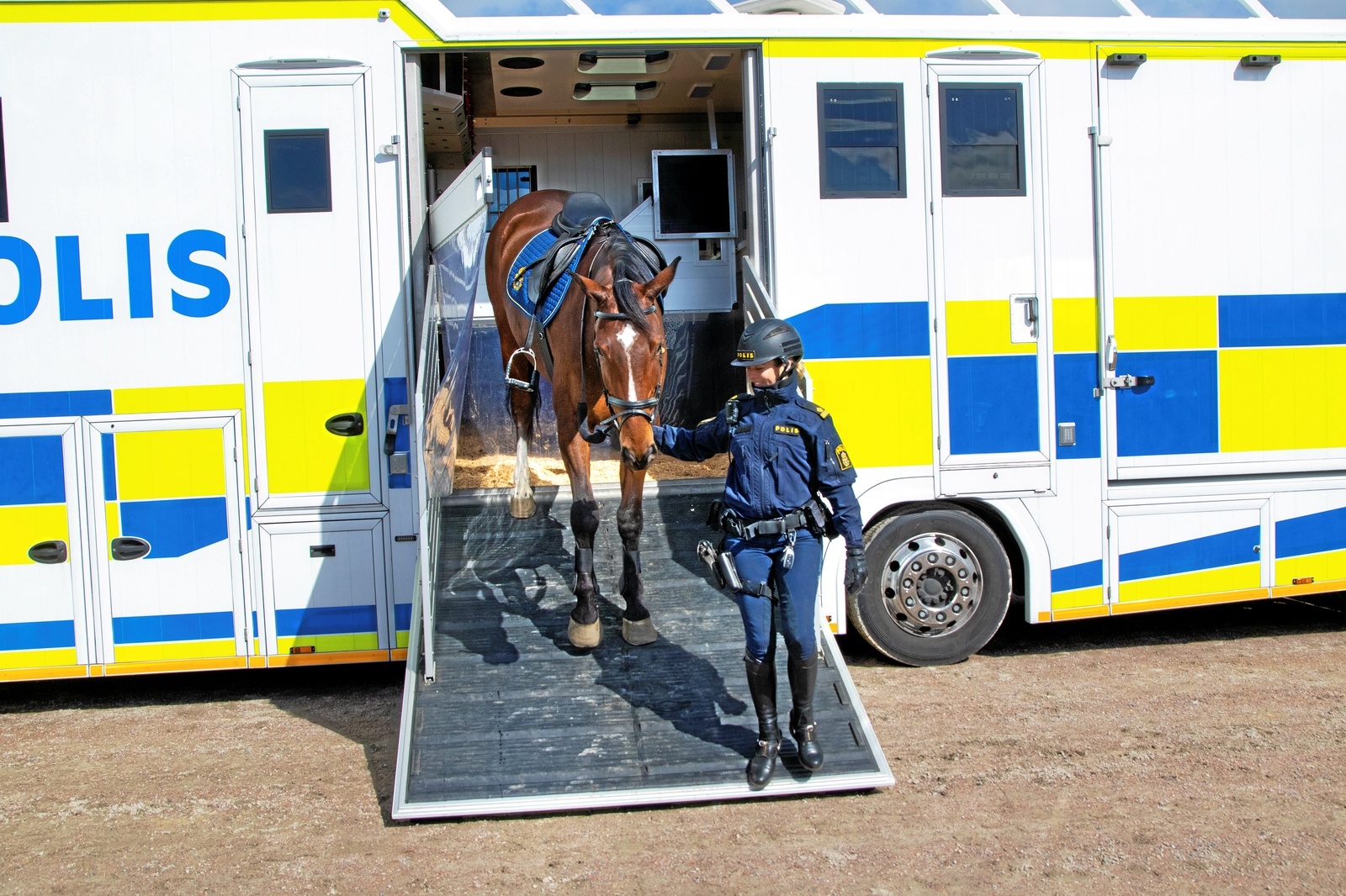 Transporten tar 6 hästar och används b.la. vid högrisksituationer då många hästar ska ut.