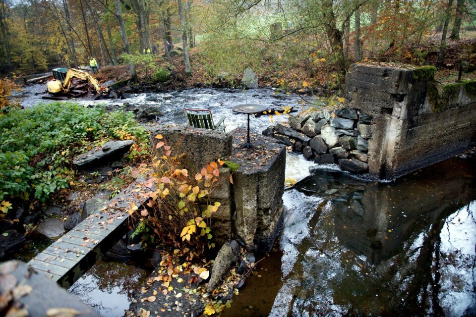 Mycket sten från gammal kvarnverksamhet har bromsat upp vattenflödet i ån.