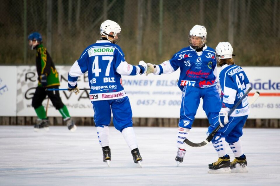 Närapå idel segrar. Spelarna i Fredriksbergs pojkallsvenska lag har haft en kul säsong.