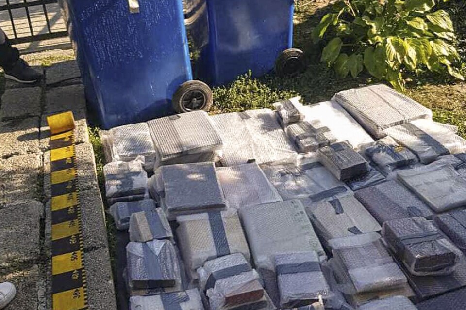 Fotot från den rumänska polisen visar hur stöldligan gömt cirka 200 sällsynta och värdefulla böcker som stals i London 2017. Arkivbild.