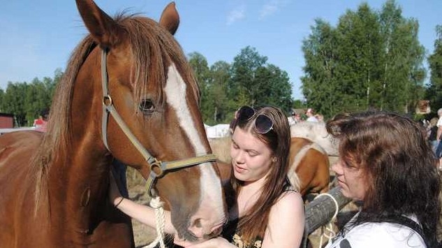 Therese och dottern Malin Lyckemo har rest från Norrtälje för att köpa en häst. De hade fått information om Hästveda djurmarknad av en bekant som läst om den. Foto: Alice Hermansson