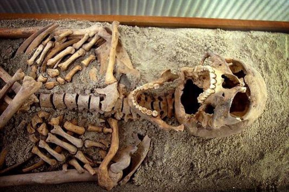Skelettet är cirka 600 år gammalt.