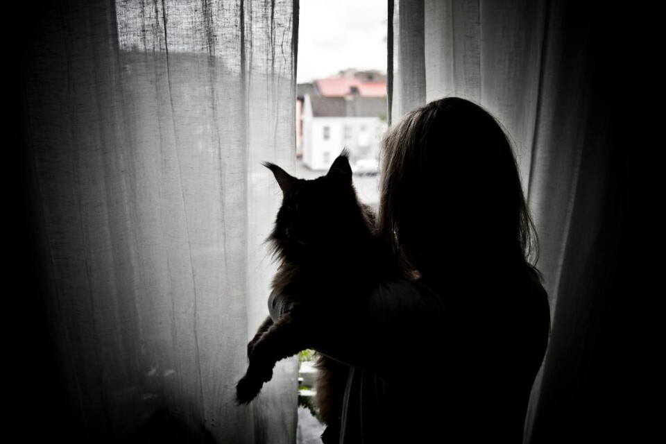 ”Om ägaren redan från början har visat att hen inte är kapabel att sköta sina katter enligt lagstiftningen, vems är ansvaret då?”, skriver insändarskribenterna.