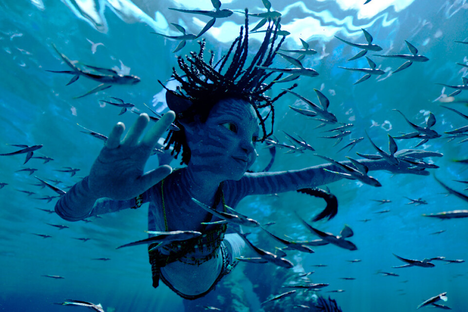 "Avatar: the way of water" är den andra av fem (!) planerade filmer i James Camerons filmserie om de blå utomjordingarna som koloniseras av människor. Pressbild.