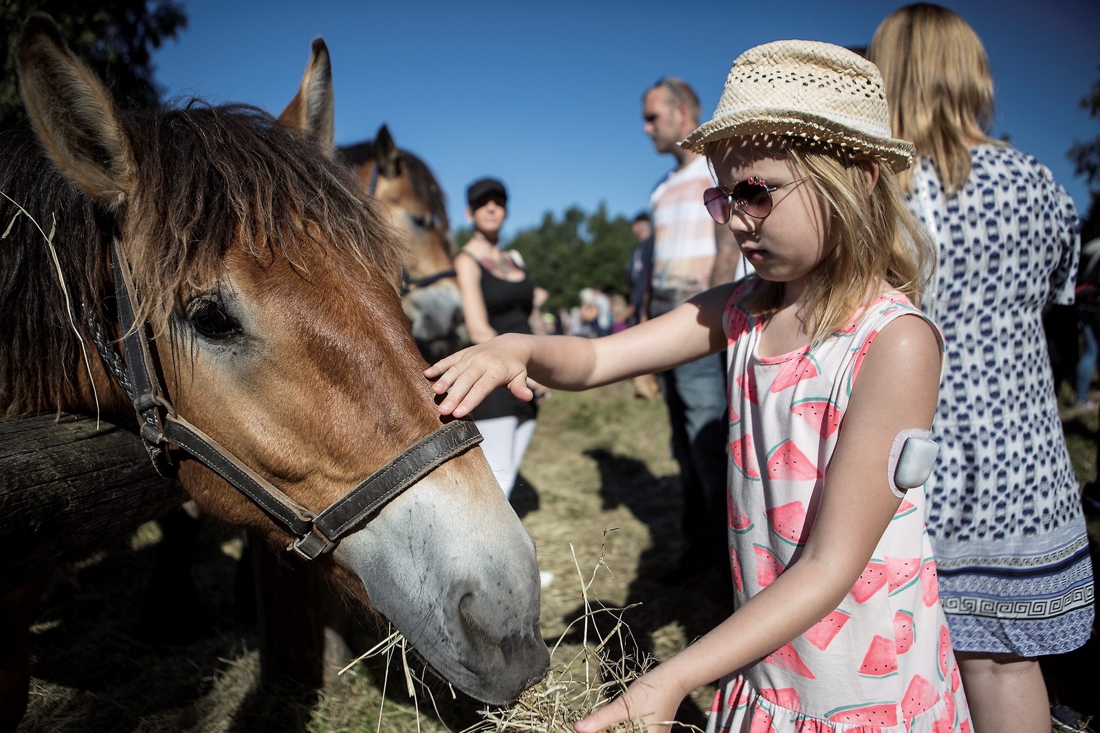Mysigt med hästar och kanske lite läskigt, tycker Alva Wenzel, som är sju år och kommer från Råå. 
foto: jörgen johansson