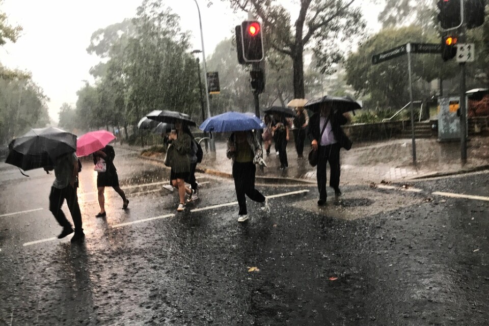 Regn har svept in över bland annat Sydney.