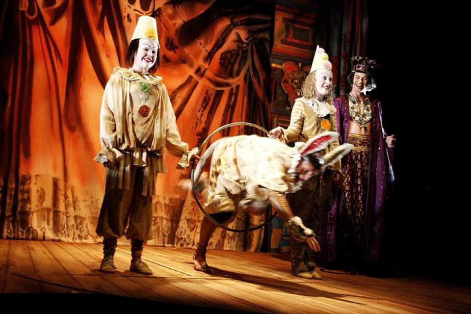 Full fart. Pinocchio fönedras som åsna. I dag är det premiär på pjäsen i Borås.
