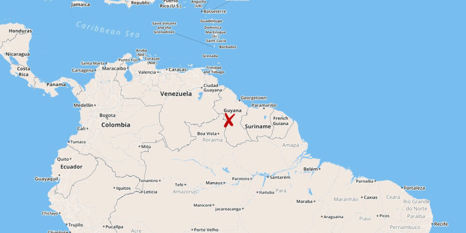 Guyana består mest av skog.