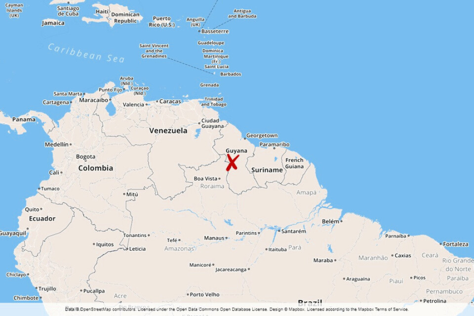 Guyana består mest av skog.