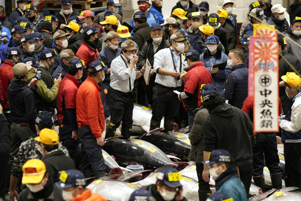 Den traditionella nyårsauktionen av tonfisk har hållits på Tokyos fiskmarknad.