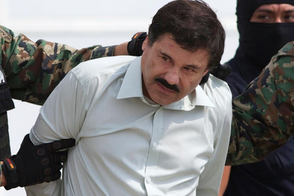 22 fångvaktare sitter i fängsligt förvar efter knarkkungen Joaquín \"El Chapo\" Guzmáns spektakulära flykt. Åklagarna tror att de på ett eller annat vis hjälpte till när Guzmán i lördags försvann från sin cell i högsäkerhetsfängelset Altiplano utanför Me