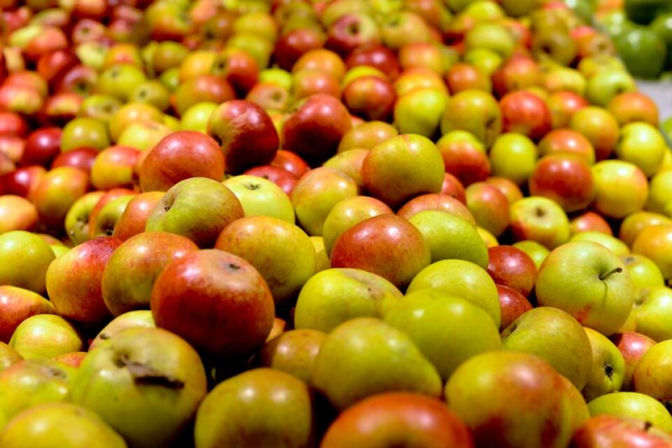 25 kilo äpplen stals från ett garage.