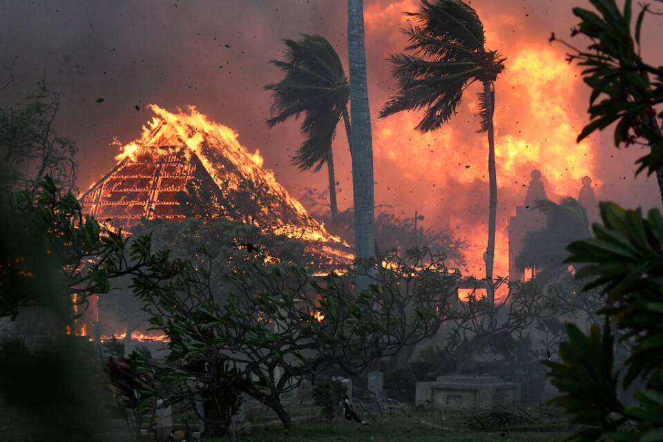 Mauis huvudort Lahaina på öns västra sida har drabbats hårt av bränderna.