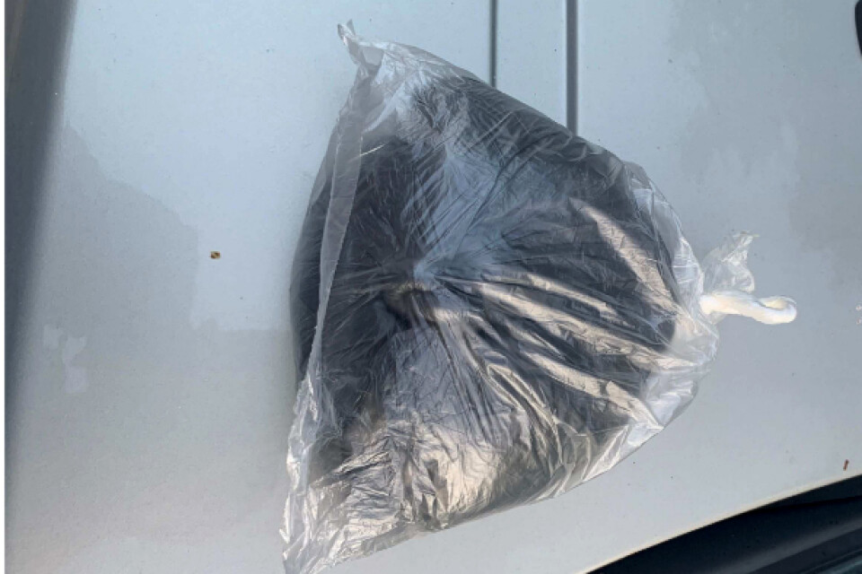 Detta är polisens egen bild på amfetaminpartiet som var paketerat i plastpåsar.