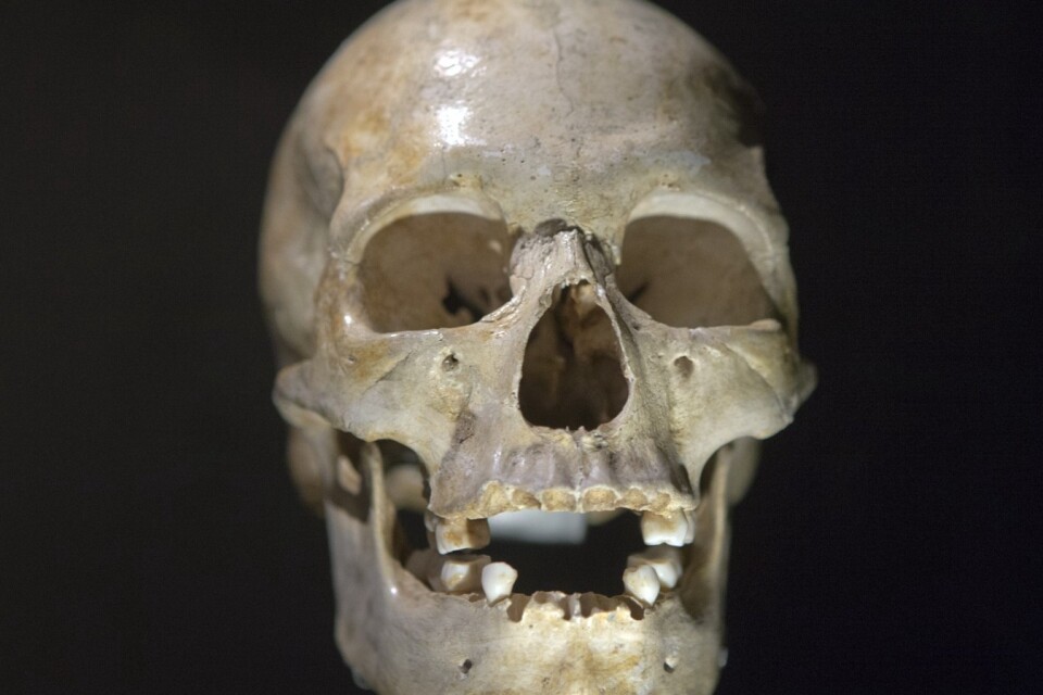 En 22 000 år gammal skalle från vår art, Homo sapiens, Foto: AP Photo/Francois Mori