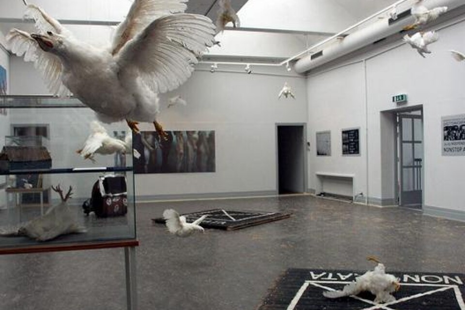 Baltiska konstnärsgruppen Non Grata har flyttat in på ystads konstmuseum med en mängd fotografier, objekt och videovisningar som visar på gruppens aktioner i världen.
