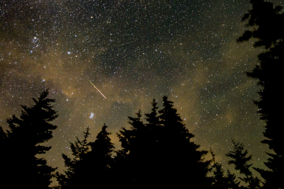 Meteorsvärmen Perseiderna fångad på bild i West Virginia, USA, i augusti 2021.