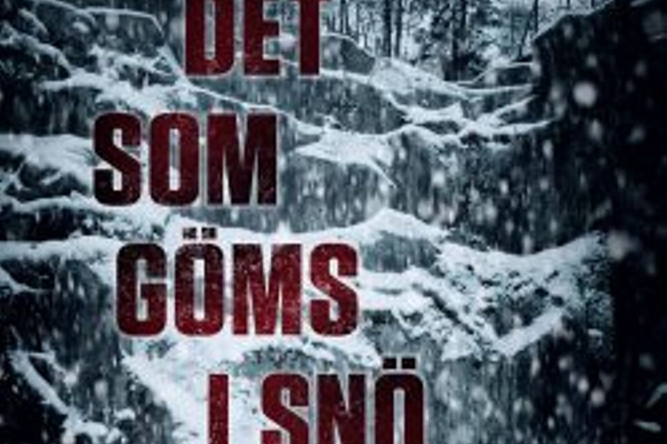 Jag har inte läst Carin Gerhardssons populära Hammarby-serie, men det kanske jag borde? Nu är hon aktuell med psykologiska thrillern "Det som göms i snö” där inget är vad det ger sig ut för att vara. Spännande!