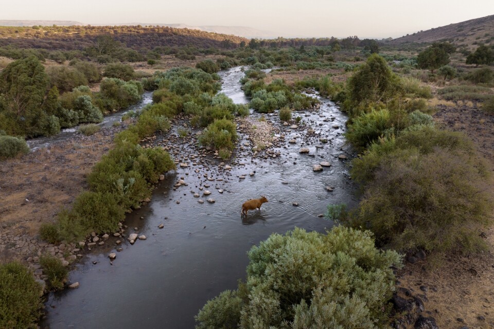 Jordanfloden, norra Israel