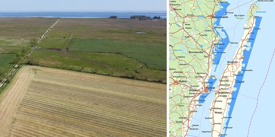Region Kalmar säger nej till länsstyrelsens förslag om Natura 2000.