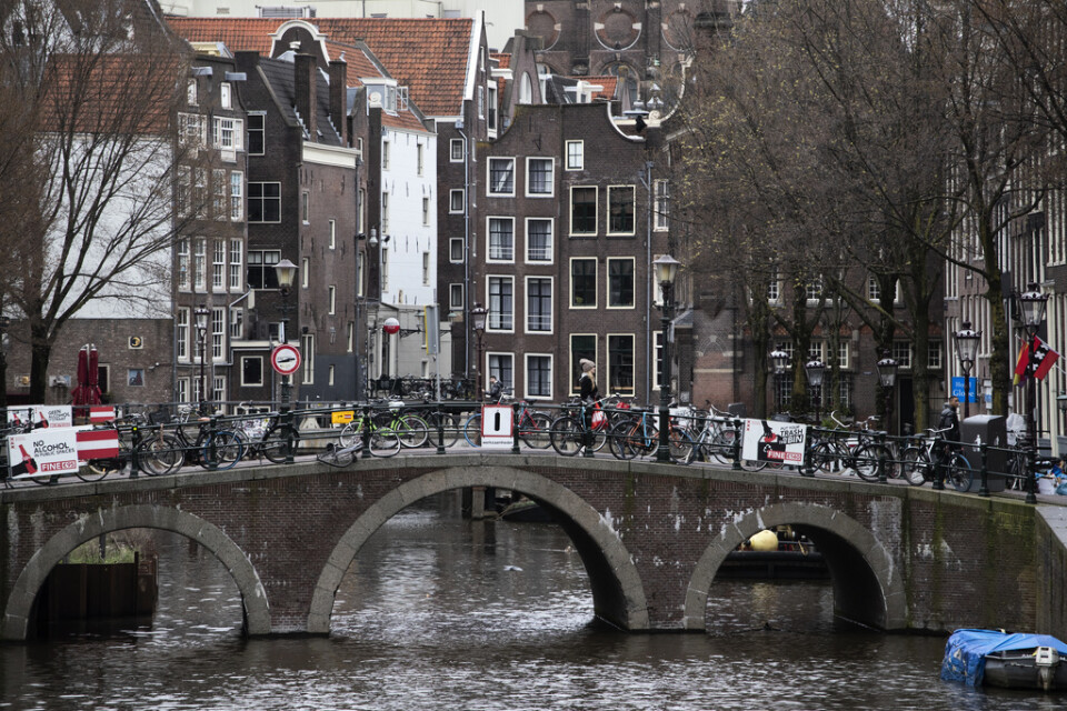 Den nederländska centralbanken vill att landets banker ska hålla i utdelningen.