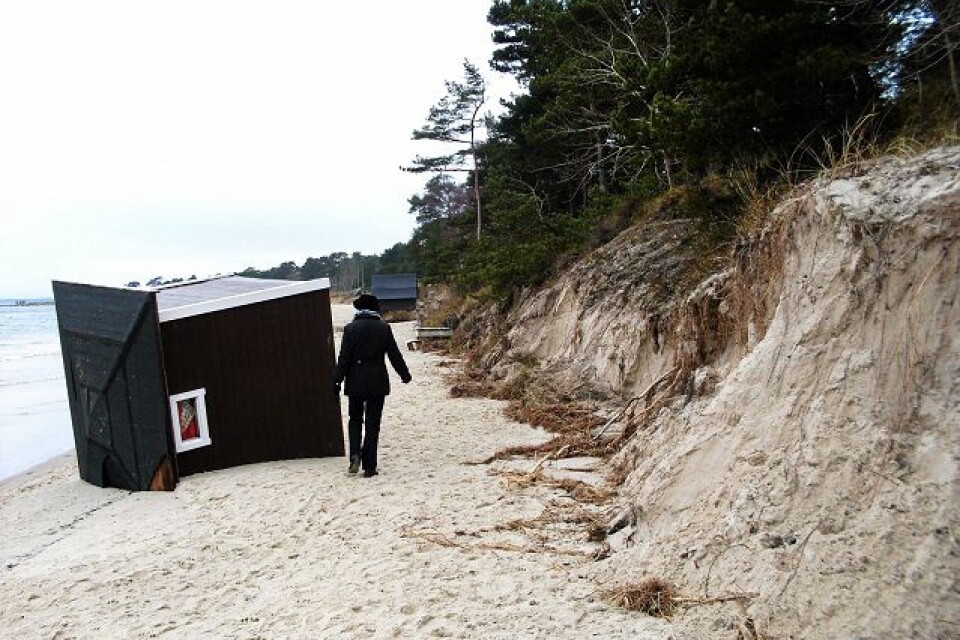 I det här fallet har vågorna vält hytten så att den ligger på sidan. Bemärk hur stora branta schakt uppstått på strandvegetationen. Foto: Karl Erik Joansson
