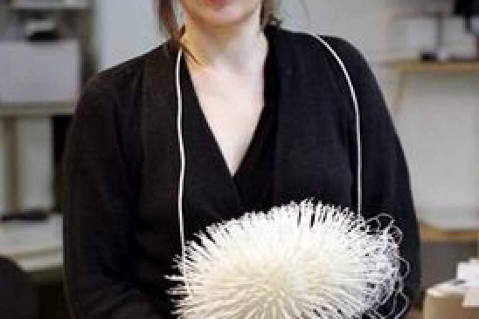 Hjärnan med vassa tandpetare har Maria Miesenberger valt att kalla Picky brain.
