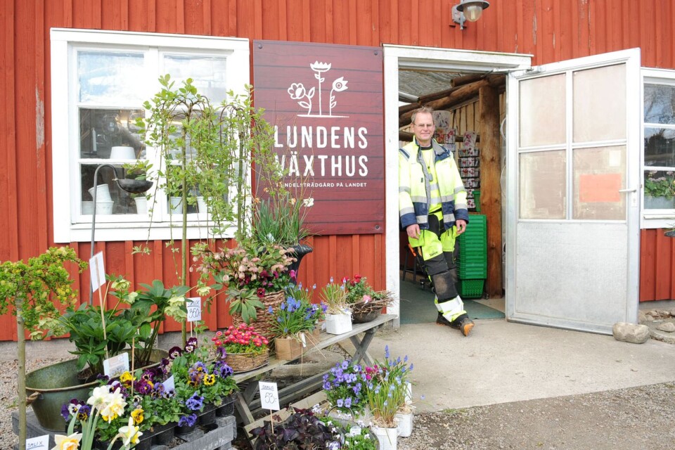 Vid Lundens Växthus utanför Hovmantorp håller Sören Mörch till när det är dags att sätta alla vårblommor.
