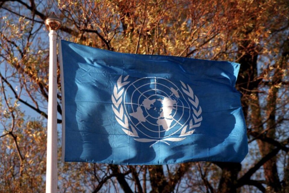 I dag, måndagen den 24 oktober, firas FN-dagen.