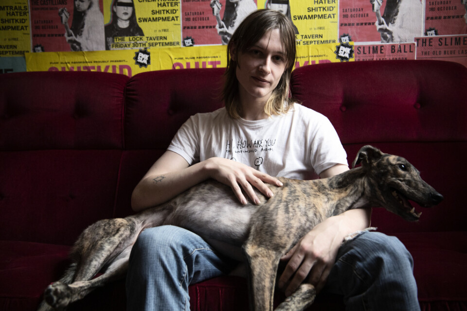 Hunden Blurr vilar i husse Hannes Ferms knä, i väntan på att Holys nya album "Ryder" ska släppas.
