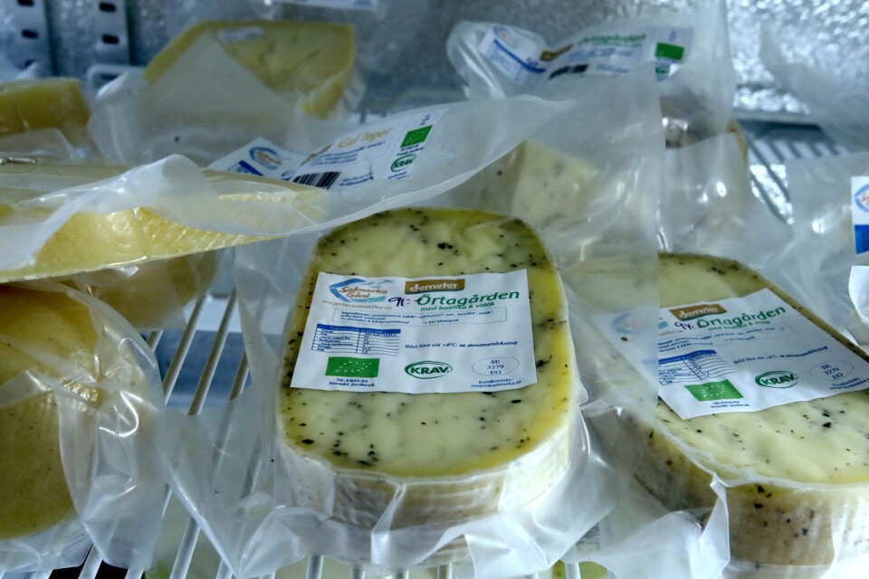 Redan nästa år hoppas man på Solmarka gård kunna tillverka sin egen ost i ett eget gårdsmejeri.