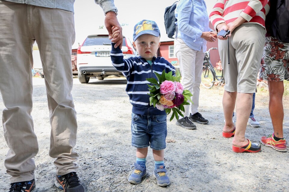Harald, två år, väntar på kronprinsessan med blommor från farmor och farfars trädgård.