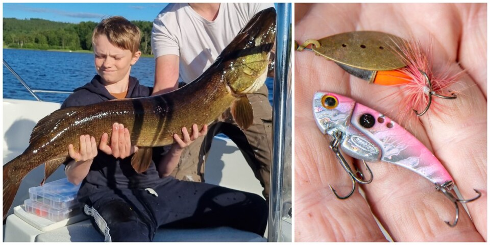 Vincent, 14, drog upp jättefisk – på ett osannolikt sätt: ”Borde inte ha gått”