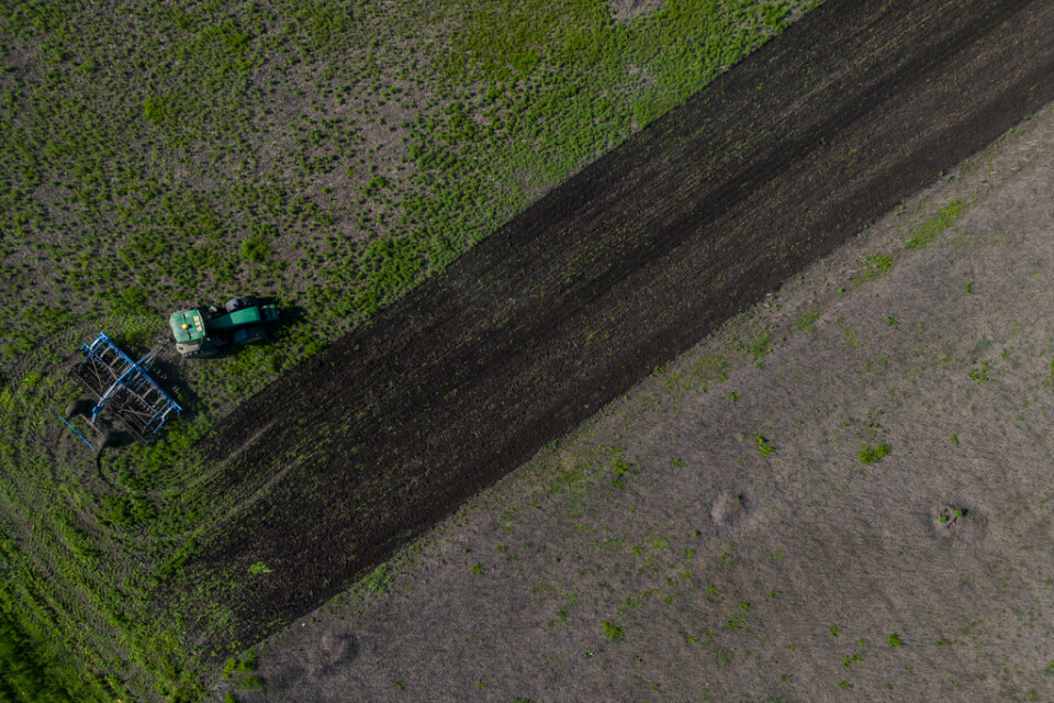En traktor på ett fält i Potomkyne, i Chersonregionen. Bild från slutet av april i år.