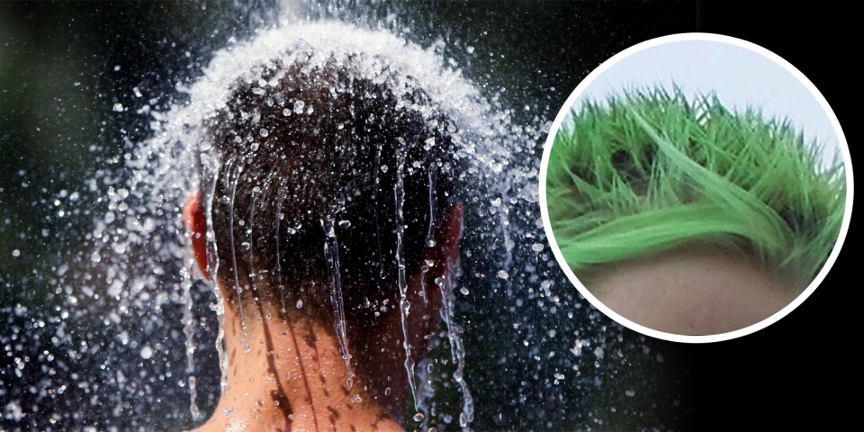 När vattnet i Tomelilla reagerar med nya kopparrör kan det leda till missfärgningar – till exempel kan man få en grönaktig ton i håret.