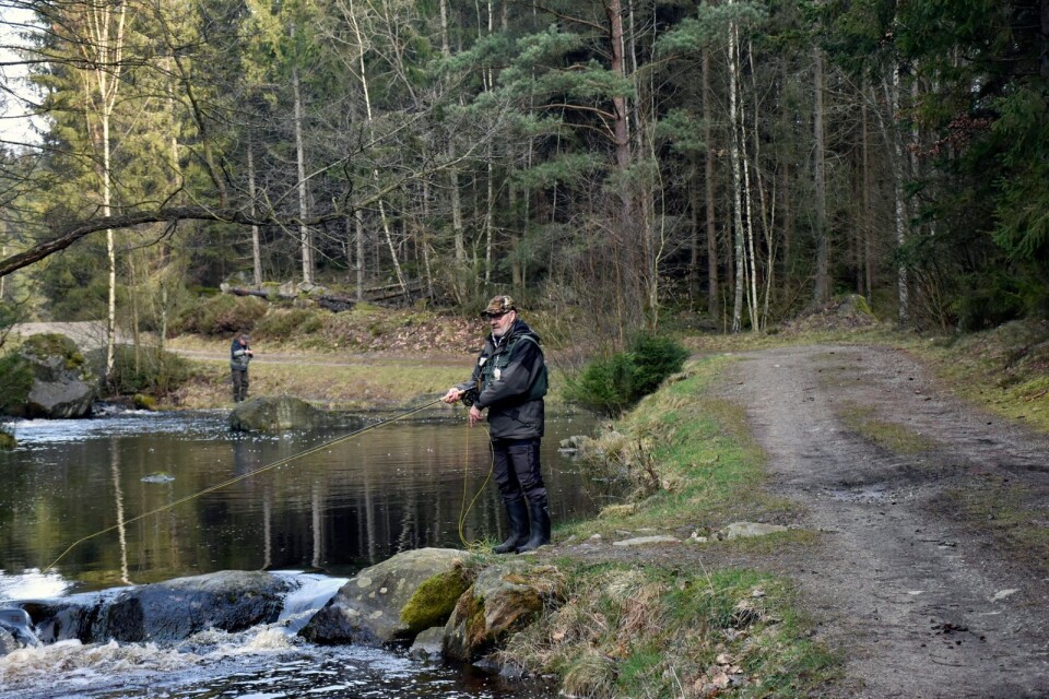 Det har blivit allt populärare att fiska i Kronobergs län.