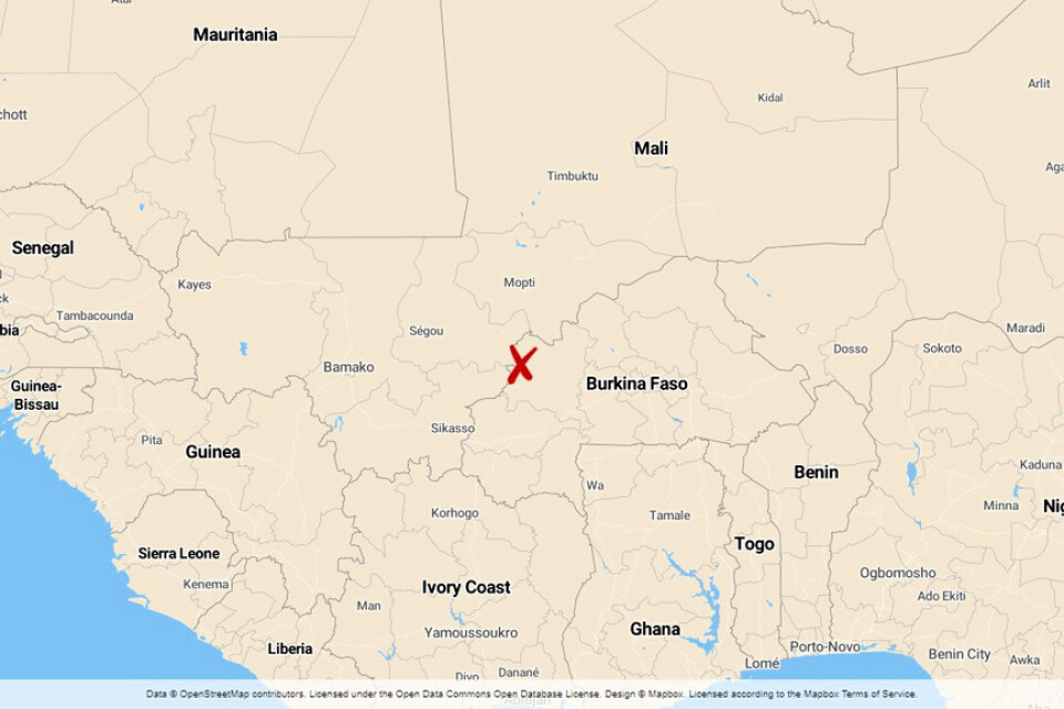 Militären i Burkina Faso säger sig ha haft stora militära framgångar mot terrorister nära gränsen mot Mali.