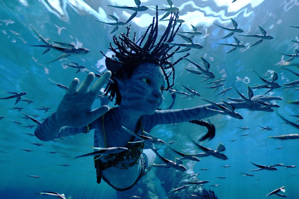 "Avatar: the way of water" är den andra av fem planerade filmer i James Camerons filmserie om de blå utomjordingarna som koloniseras av människor.