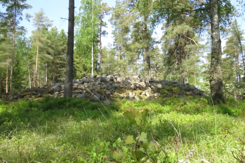 Lars Olof Carlsson skriver om Domfälleskogen som en dold pärla.